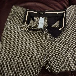 Ann Taylor 12P pants